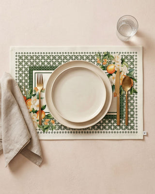 Individual Valencia Orange / Set 2